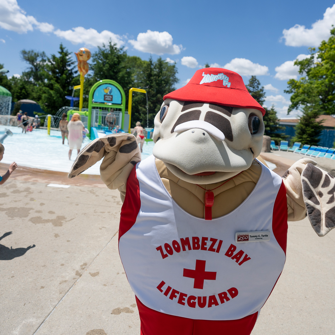 mascot in lifeguard uniform