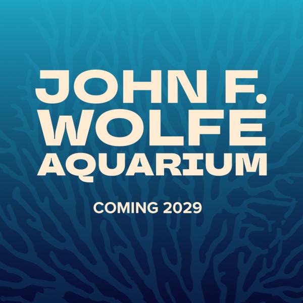 aquarium graphic
