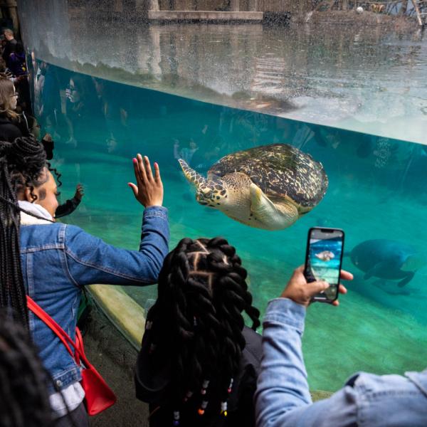 family at manatee area in zoo
