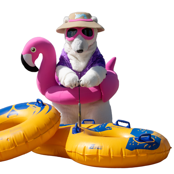 Polly Polar Bear at Zoombezi Bay